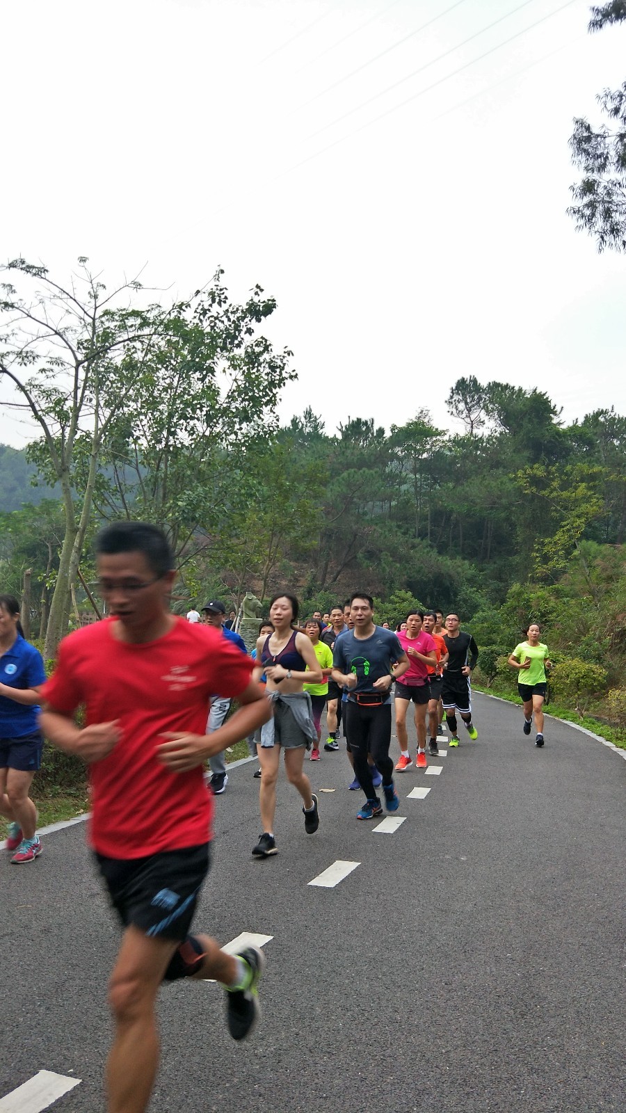 mmexport1510475500741