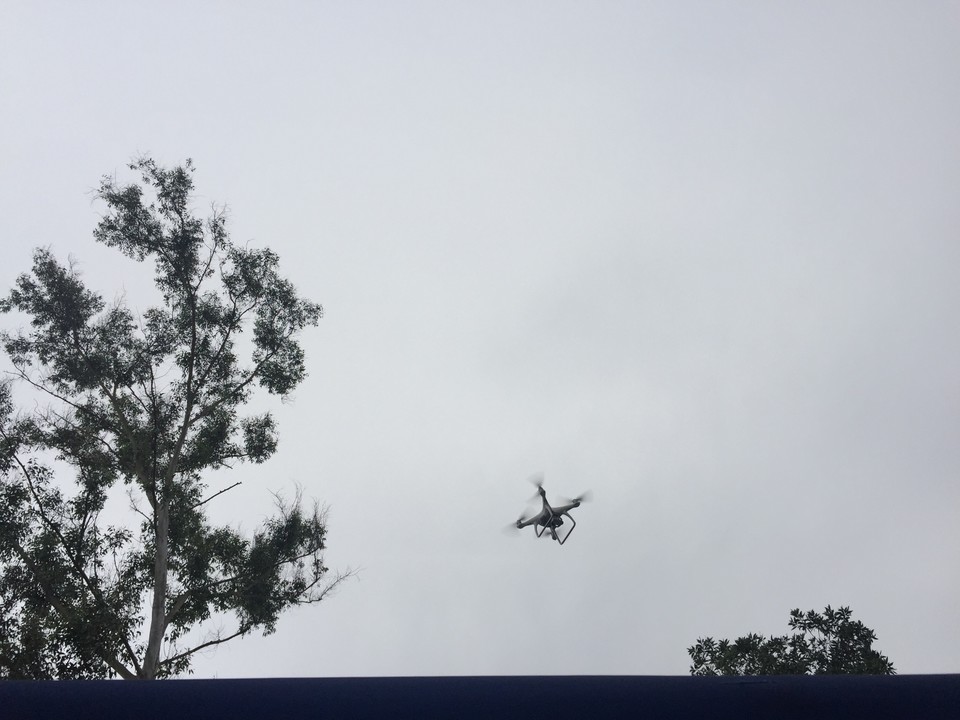 F6FFA6DE-BE1D-4350-830B-7CBC620811C5