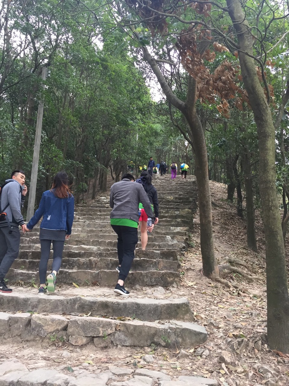 7A8A835C-2D63-4CD8-AF76-AE44745CF91F