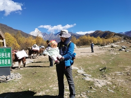 QNv1ndZM1RzdDMvtcRZ3IczEEYaNDe1Q8v7OQSVl08dekvWEhPstwUyMNHDINe61