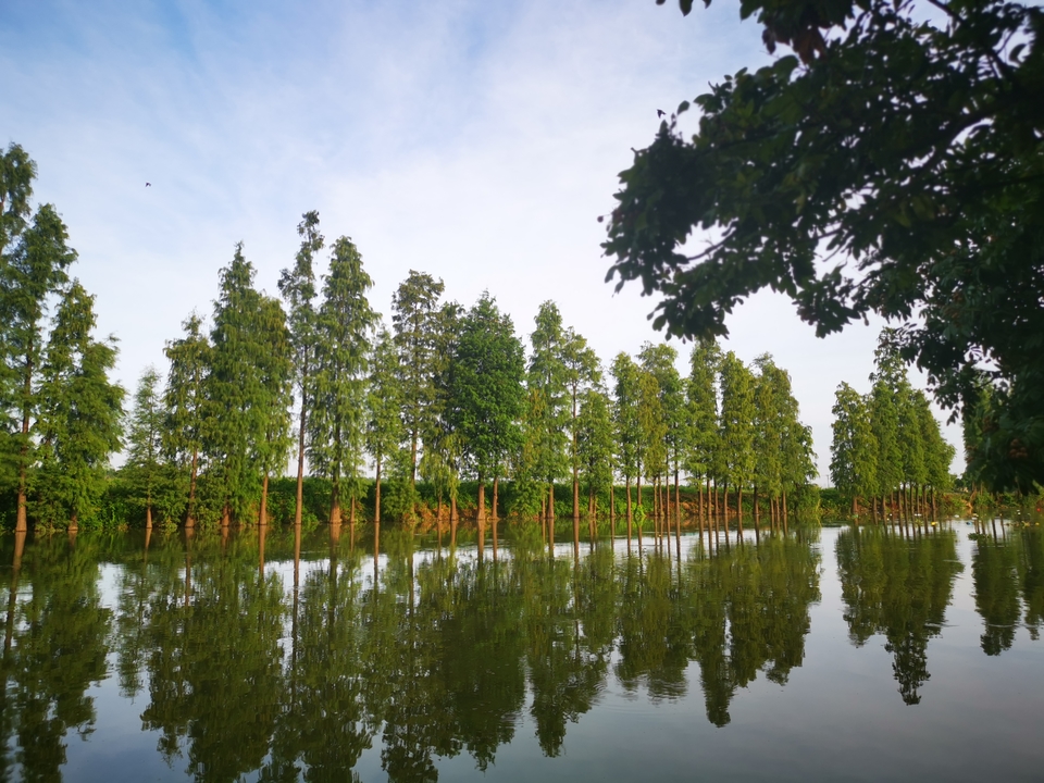 NTITqQAe4ZiftdsXm8yJay8EaOgeKQ5cQeHogr5AYjatKBf9Rl2NrCUWToeSIkSS