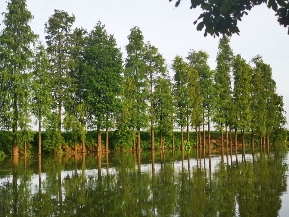 gptz1_NBJ12Oss70Gr0CwqgLd7QBCejZ8LFzBZHdSh0u4D1s7fMN3nC_qjIkT3-I