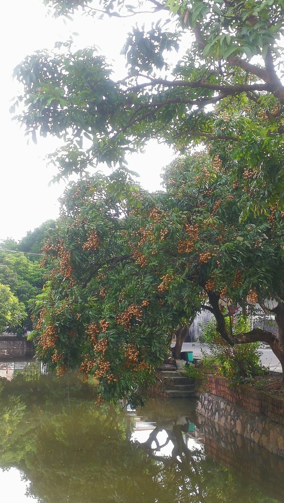 1ZwsoXDuVn6hHJaGY3IYUrHtoptEb2Fwyam6NR1fIHJEz_H99lHkNNRnYPMupKzq