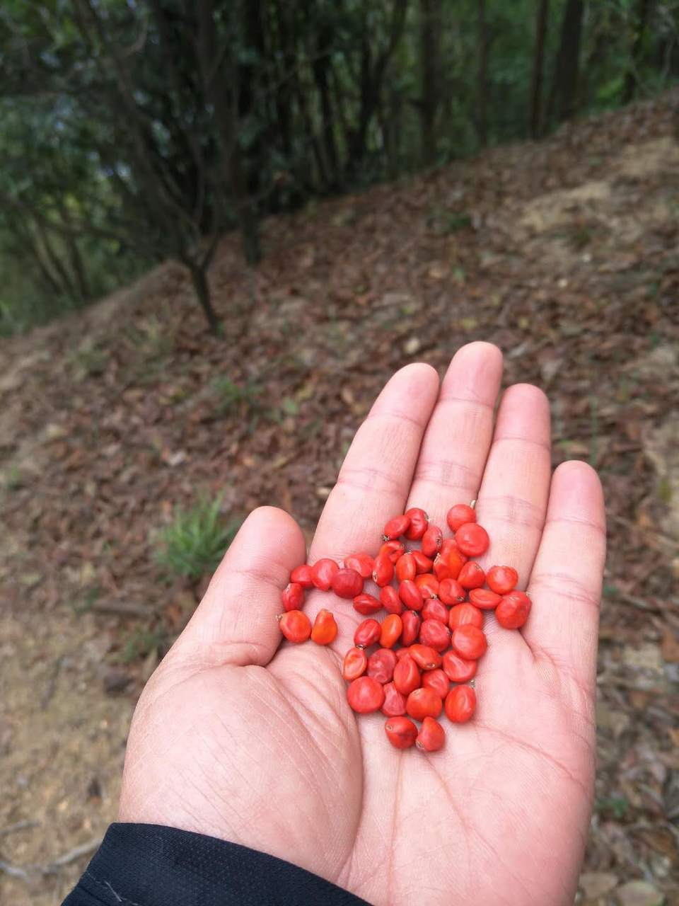 qqeDGKLwUuXMO2kNdQHwJkXrP9RhEARpNx6MhwdMdEDM3oqCYRP8m29MBihKH4Ef