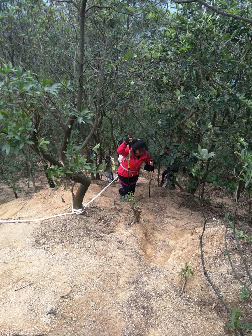 KN-yWPbv0ZZNqPxNekovDRDnuqcqePwt9hmIhyUkHMQu4oJ-QfyNTKssBFnMUWXv