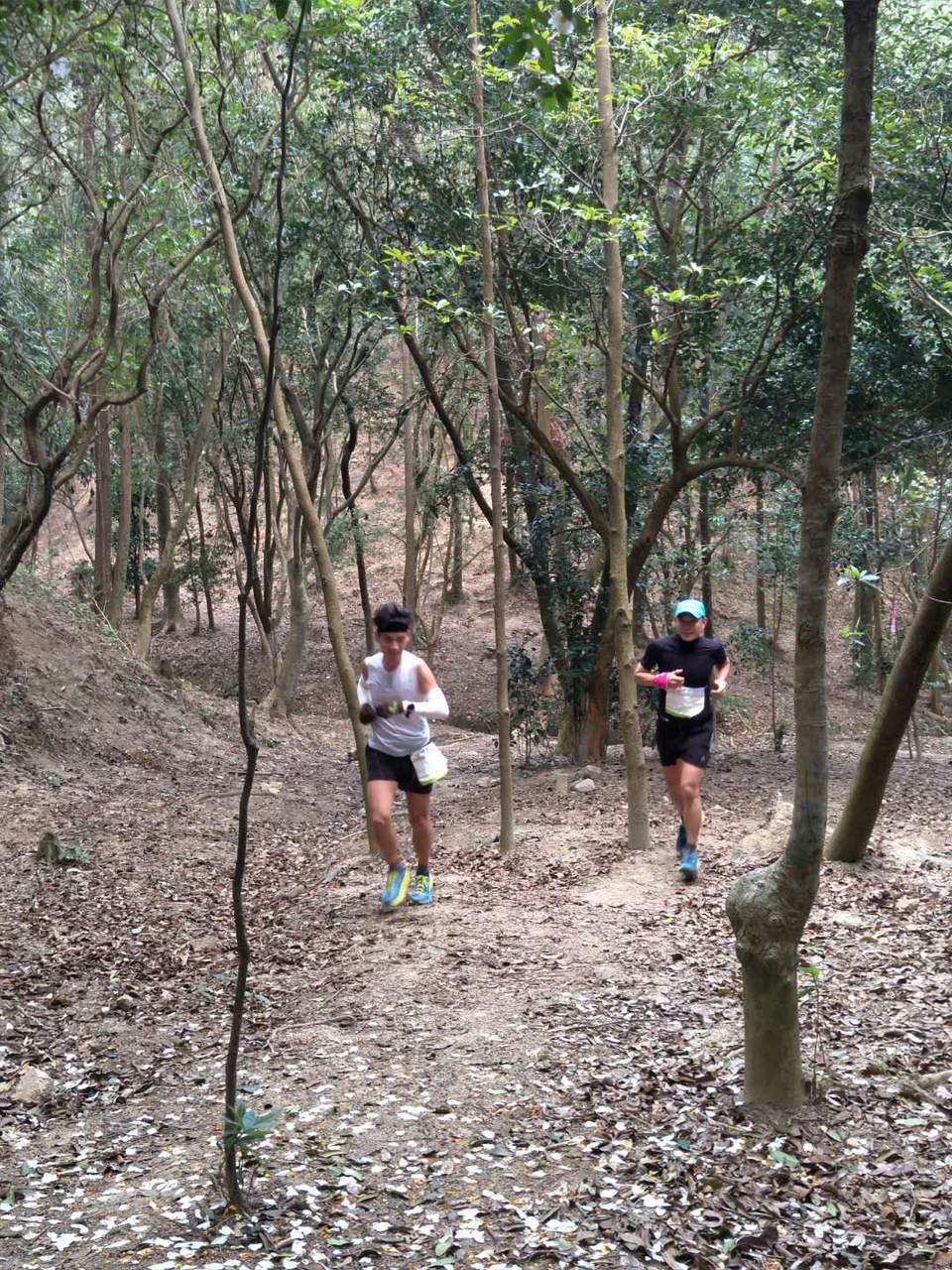 St4JVlSOu8BLgkjAZTTrKNmDs9_aG8O6SGGUHq3P9owzzgkmmW4F1US8EIehl-wO