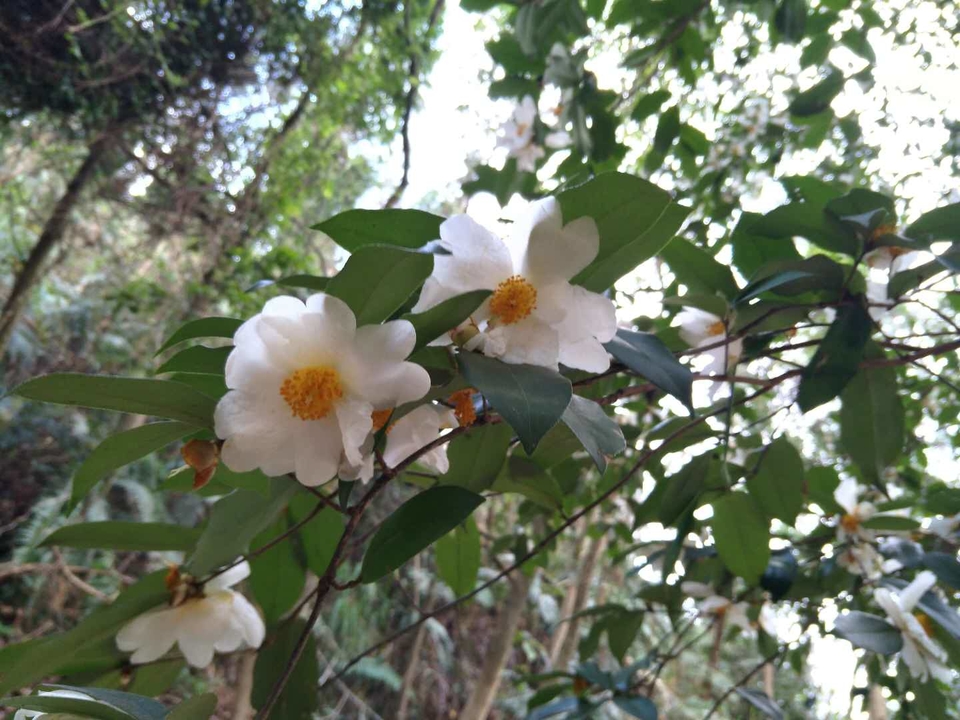 SQXNDykGvQew88Y8hdGkLawZokz7S-rTzAwxXLsB5wlz-iUnCPfsgid9EjDaiHWY