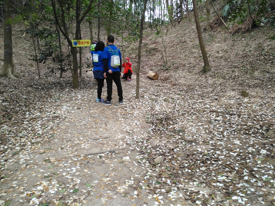 DVD0-ITQH_i5rF4LXBoa8suS47TKxCjK_6qV_XxJY3KBTqUqzts383mAOUqGrXCO