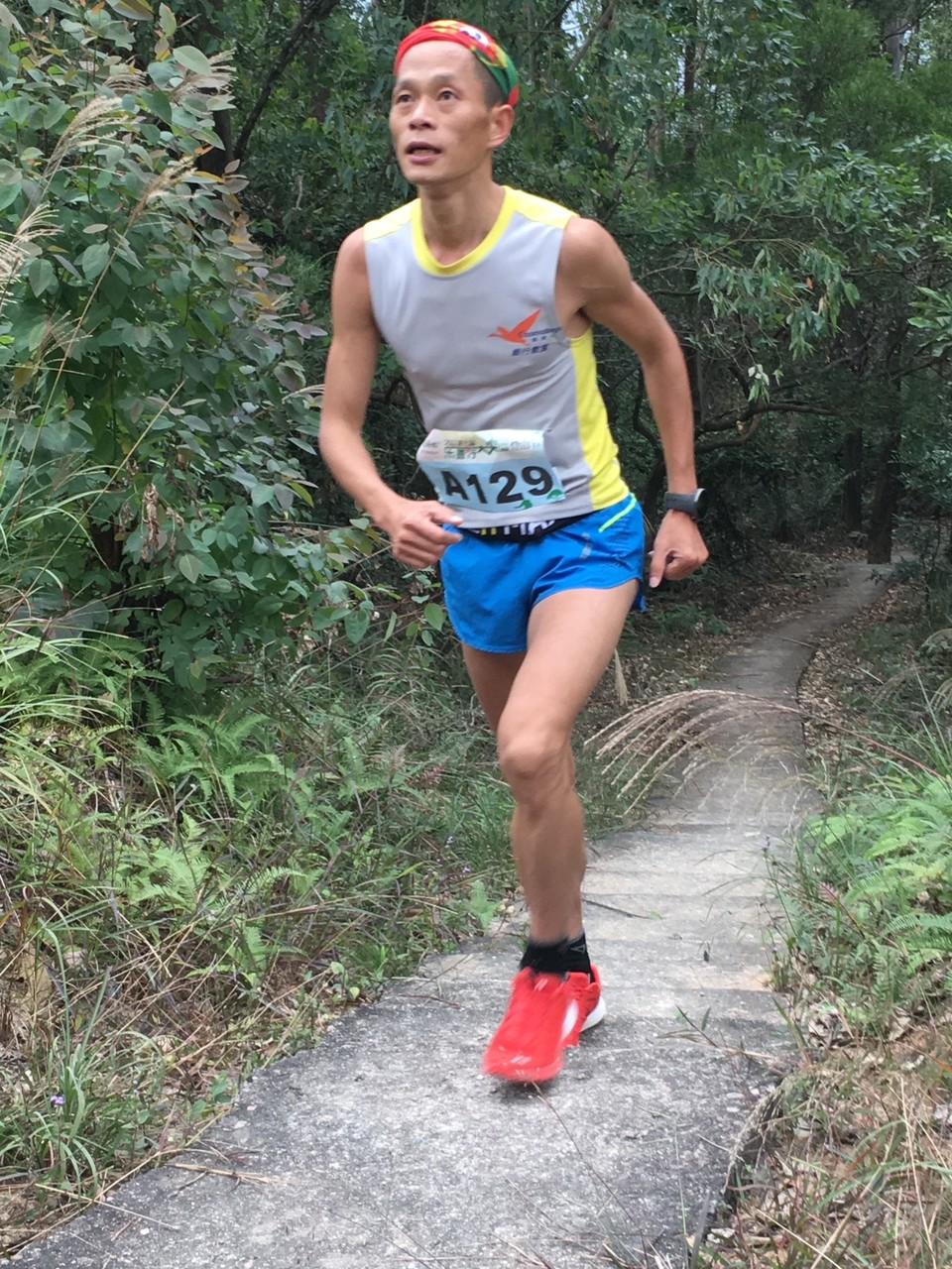 67AD337F-96DA-4B2C-9F3D-EA6FFD63855D