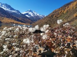 aof7F9v5J5obbjaLYXxpfEe3r3vyuvg6obwU6Ju0_scKooEPrO1KDDNxTalYDL8s