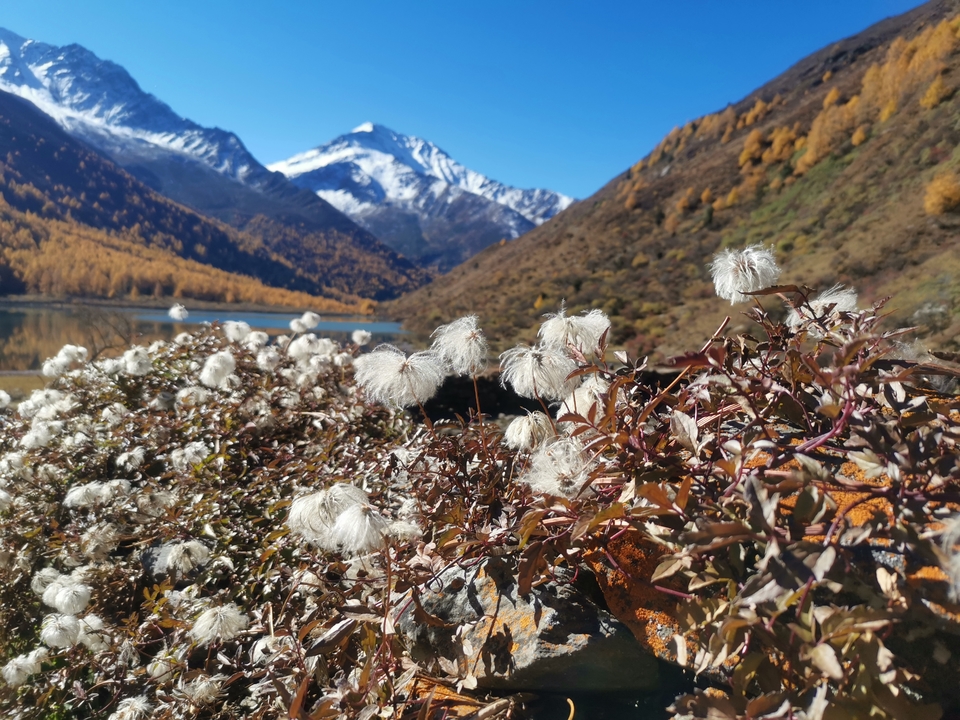 aof7F9v5J5obbjaLYXxpfEe3r3vyuvg6obwU6Ju0_scKooEPrO1KDDNxTalYDL8s