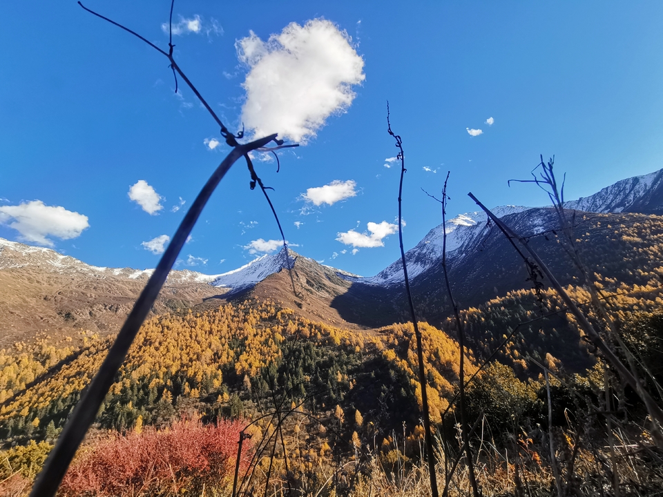 qmBVVJOy5aJm-GyeWY-BaY4sT0cZnOoqxYjCWPtYPZgpGuIOtP28zlQ02t6IkBP0