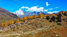 ApGtgQBCQAzMlxRPgTEKB8tsGu57QkBwKT9sbccX-0idweqldK14tRzAANyGj-Ii