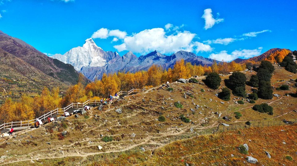 ApGtgQBCQAzMlxRPgTEKB8tsGu57QkBwKT9sbccX-0idweqldK14tRzAANyGj-Ii