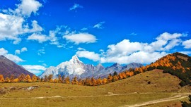 ze62l6yXzXcuoJFYIBETZB4AUfJ7GwYRp99nD2PztUCHmeHw1TOhUPVMdJC22L1M