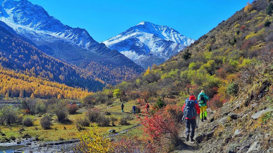 A6YnXGhyWvNiusBSBjBqfoaJfuicBw5ocAppTSPqyTMcfOJjTIF3SdiF40iIRF0K