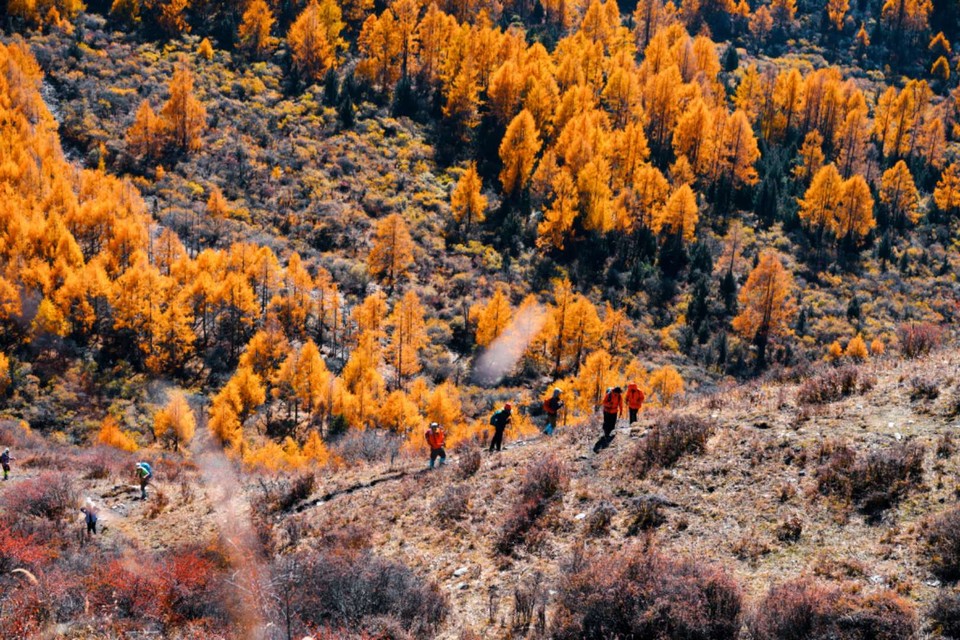 indmeWMPrsgnlCnnE8SZICuSKGekbQi8Fb5Z0nAqC2sUxGR_MuhFgIJa2CX5efYN