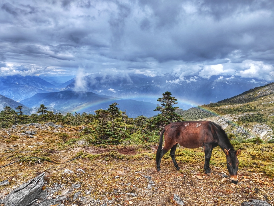 微信图片_20211002210602