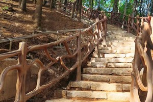 “健行五桂山，点亮百千万” 五桂山长坑郊野步道国庆徒步活动