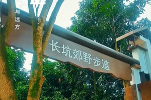 志愿者招募I 五桂山长坑郊野步道国庆徒步活动