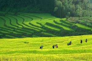 连山欧家梯田金字山骑行