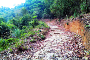 会员活动 | 岐澳古道大环线