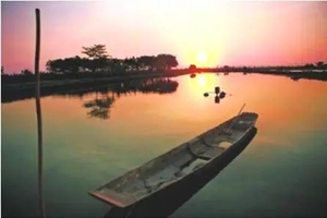 横栏西江健步跑