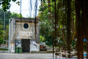 南区第31届新年长跑