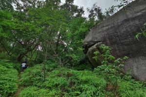 拾峰 |​ 卓旗山净山行动
