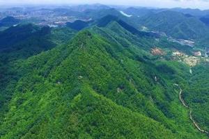 拾峰 |​ 大尖山净山行动