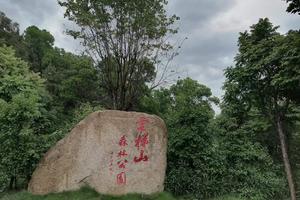 拾峰 | 云梯山净山行动