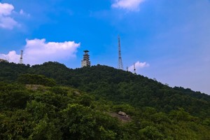 拾峰 | 五桂山主峰净山行动