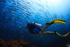 英雄之旅·成长的五项挑战 | 菲律宾海王之旅