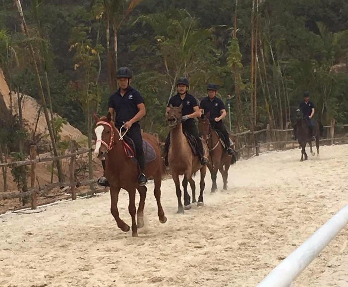 马队巡游 英姿飒爽的骑手们骑着长鬃飞扬的骏马在公园场内巡游,造型