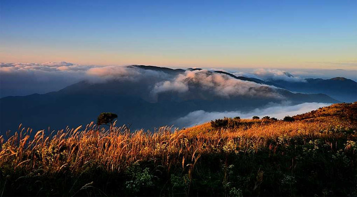 【4月29日-30日】登临湖南第一高峰—酃峰,看高山草甸,赏醉美高山