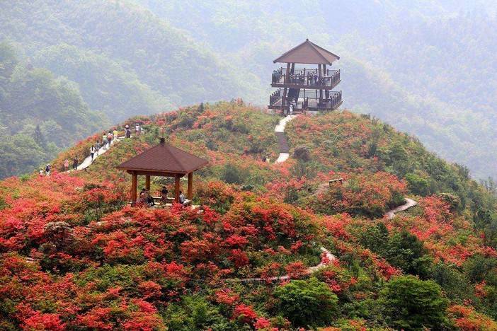 【七星岭景区】大围山以七星峰为最高峰,海拔1608米,七星峰南北两侧为