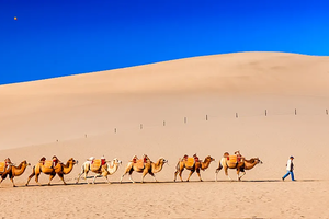 【五一7日•西北环线】（大巴）北京直发重走丝绸之路の青甘大环线-打卡网红东台吉乃尔湖·水上雅丹