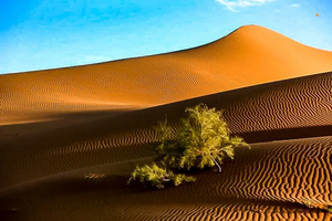 【五一5日•腾格里沙漠穿越】（大巴）北京户外大巴团の远征腾格里-五湖连穿-百人穿越队（含露营装备）