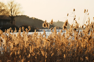 【周末1日•金海湖北线】【中午出发】驼峰夕照の北京日落天花板-8公里休闲徒步