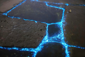 【周末1日•天津蓝眼泪】浪尖跃动的“蓝色星河”の蓝眼泪奇观-东疆港日出&海鸥 