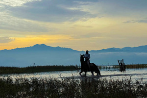 【周末1日•京西野骑】骏马疾驰の京西草原20公里野骑路线（新手友好·老手爽骑）