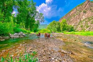 【周末1日•百里画廊】【免门票】休闲游览延庆百里山水画廊三大精华点の干沟-硅化木-滴水壶