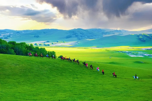 【五一3日•乌兰布统骑马】（早上出发）沉浸式野骑の驰骋草原腹地+草原轻奢野餐派对！