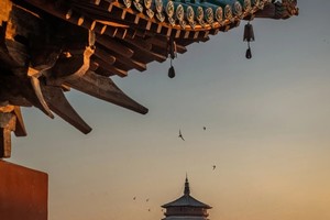 【五一2日•朔州寻古】晋北边塞古建精华环线の应县木塔-净土寺-朔州古城-广武长城-雁门关