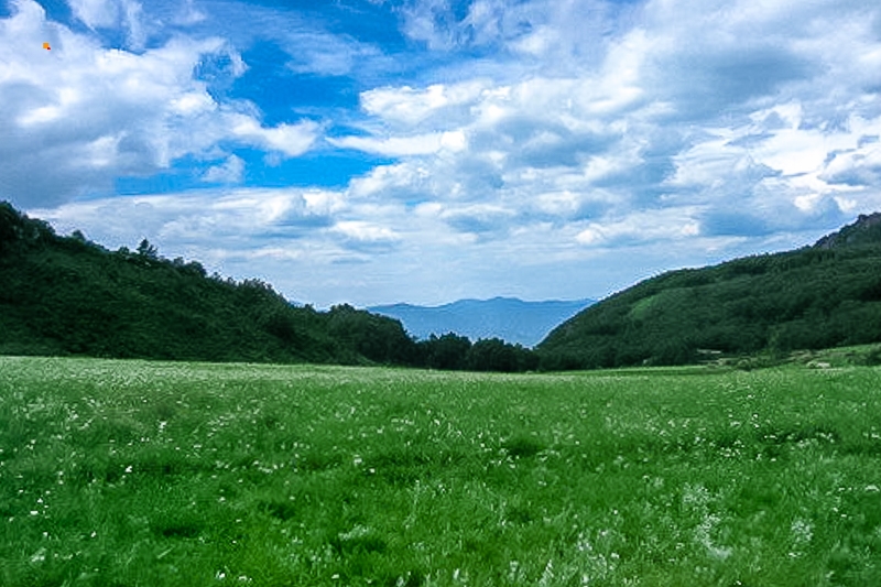 53e66971ly1geykkw5o9tj20dw0af0uc.jpg