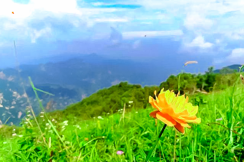 u=168675548,2701102197&fm=173&app=25&f=JPEG.jpg