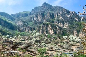 【周末1日·梨花梯田】世外桃源茅舍疏篱の谷雨时节赏大山深处梨花村-休闲户外徒步赏花 