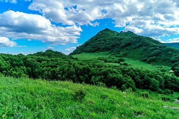 【周末1日·百花山】百花山上有百花の漫山鲜花-无边草甸-长长栈道-缭绕云雾