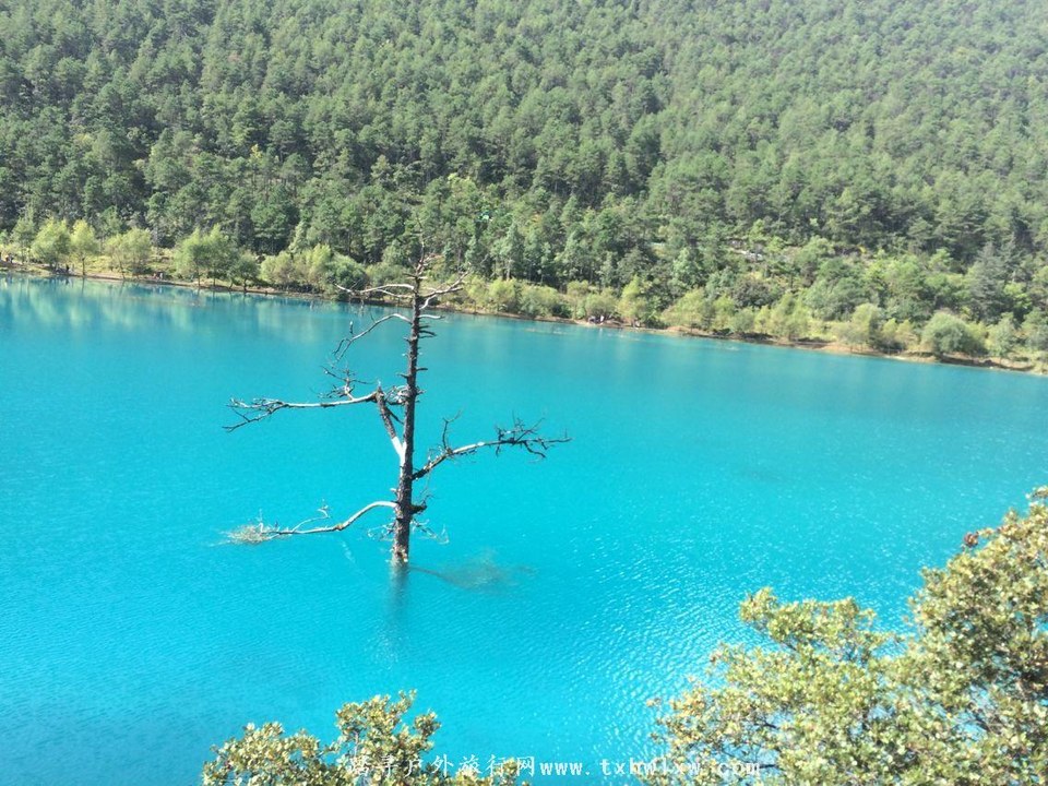 QQ图片20160904132319