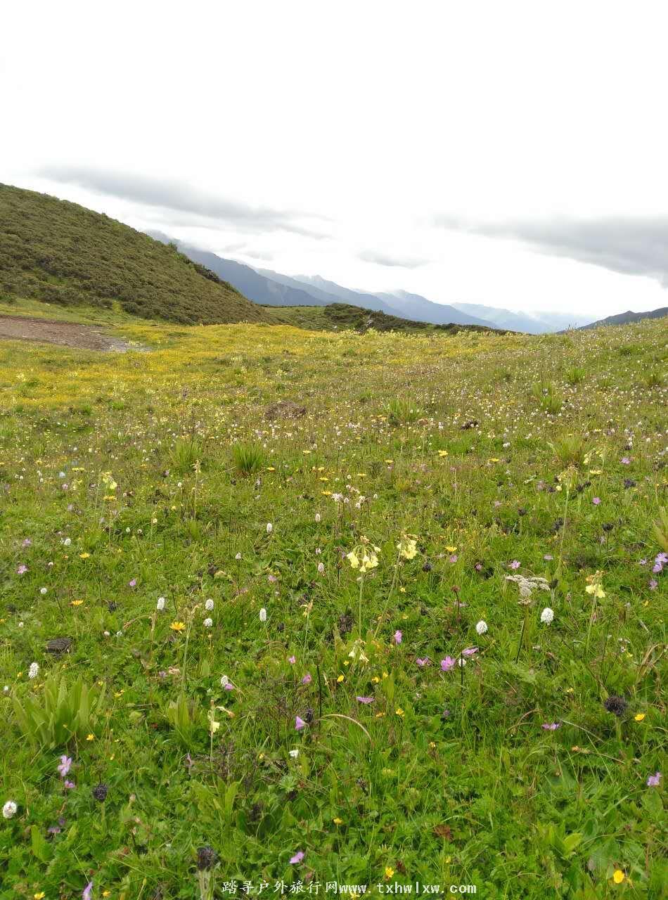 QQ图片20160904132824